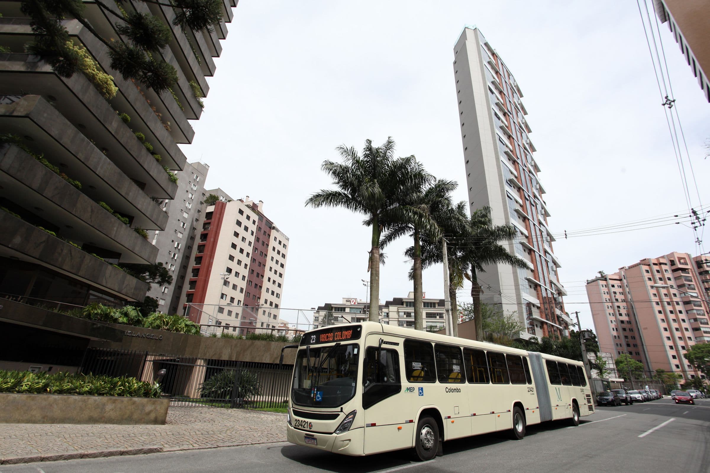 Ônibus articulado numa avenida de Curitiba, entre palmeiras e prédios
